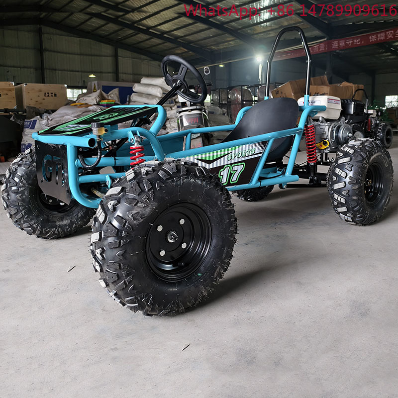 Outdoor Power And Pedal - Maßgefertigter Pedal-Professioneller Drift-Kart Benzinbetrieben 212ccm Viertakt