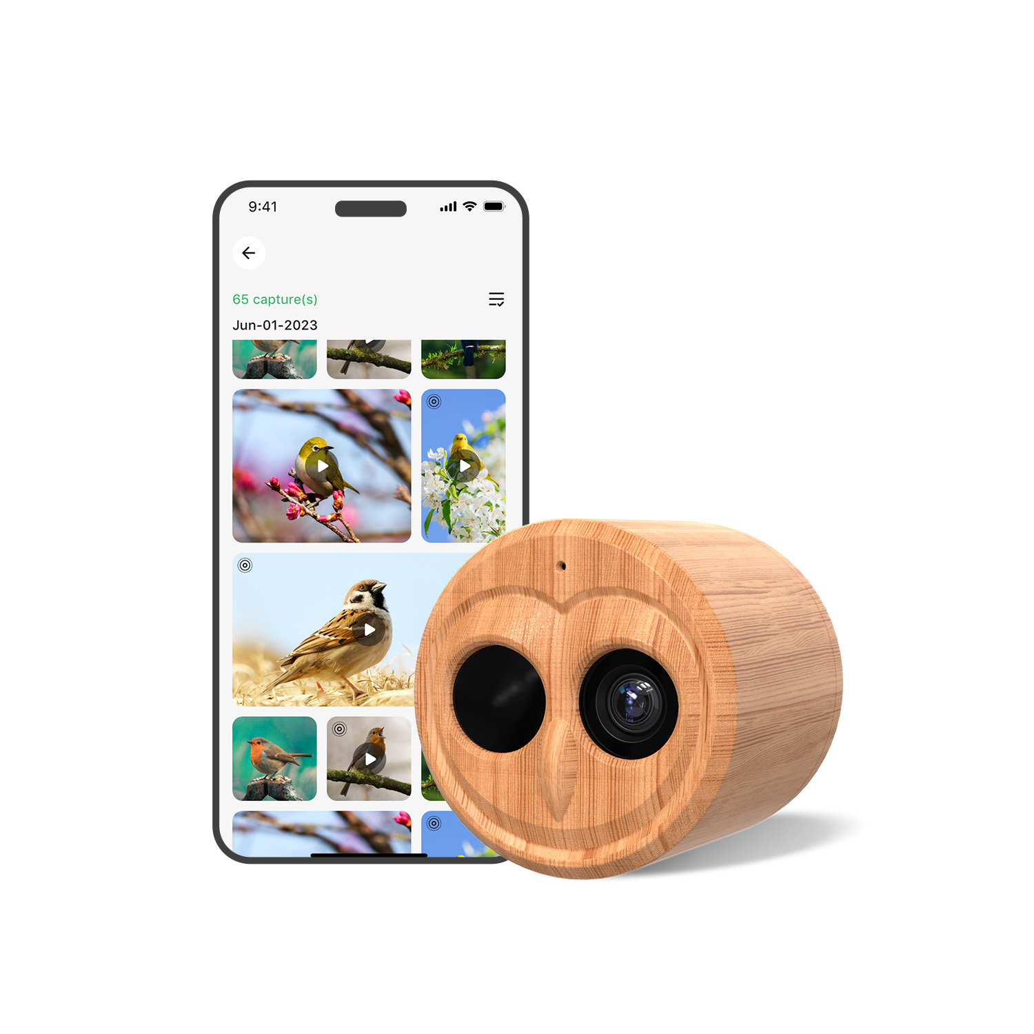 4K Smart Vogelfutterautomat mi – Power Outdoor Bewertung und Preis