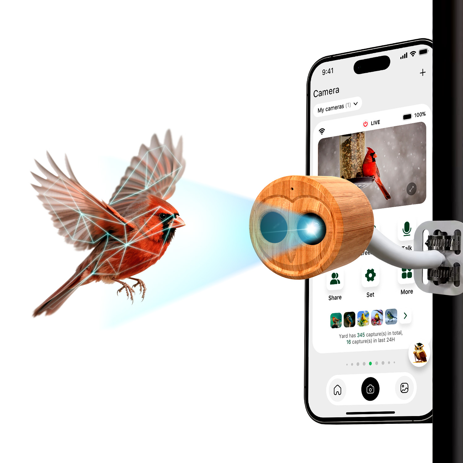 4K Smart Vogelfutterautomat mi – Power Outdoor Bewertung und Preis