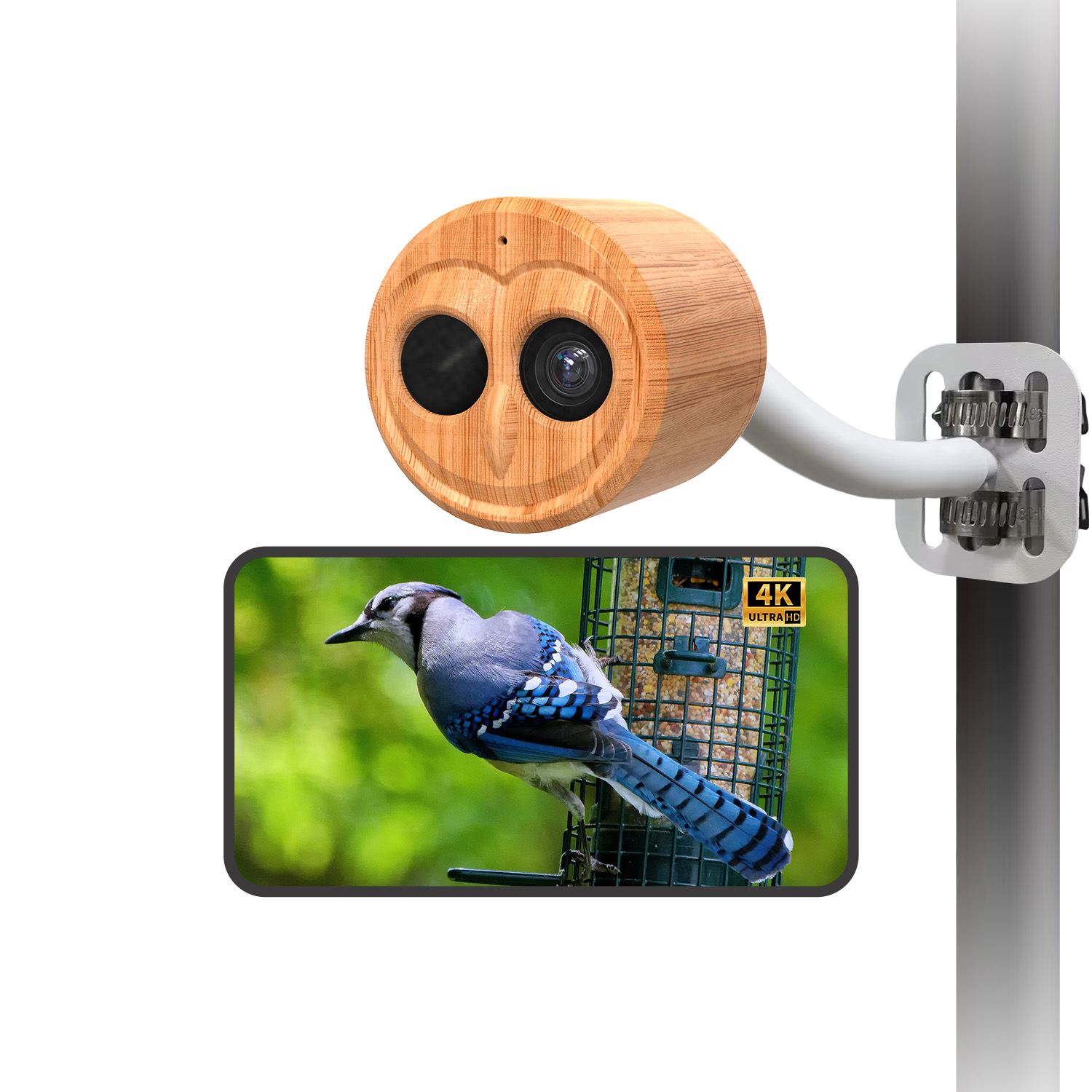 4K Smart Vogelfutterautomat mi – Power Outdoor Bewertung und Preis